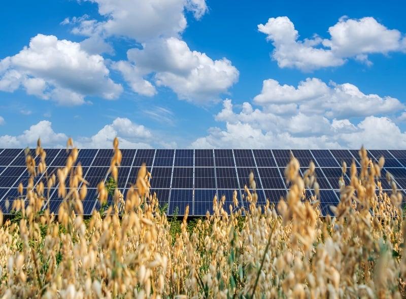 CIMICs Pacific Partnerships acquires large scale solar farm